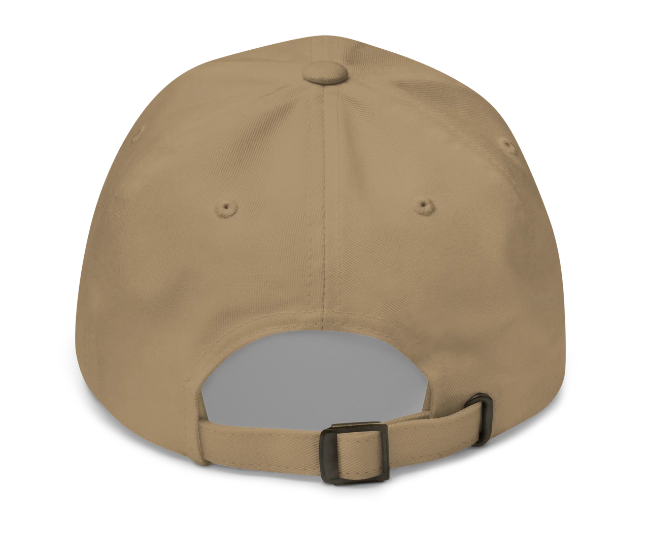 PMN+ Classic Dad Hat in khaki, back view